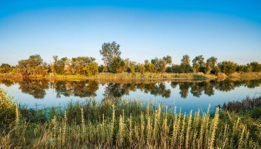 Sıcak yaz gününde sakin ve serin suyla büyük, sessiz bir göl manzarası. Güzel kırsal alan, berrak mavi gökyüzü, ağaçlar, yeşil çalılar ve bitkiler. Doğa güzelliği kavramı.