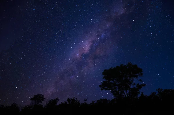 Seitenansicht Der Magischen Sternenmilchstraße Grüne Sommerwälder — Stockfoto
