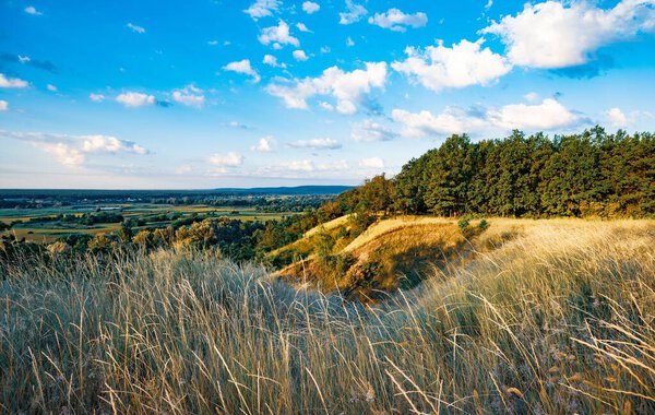Beautiful impressive summer landscape of empty green meadows and forest. Panoramic view from hill with dry grass of fantastic scenery of beautiful nature, endless fields with fresh grass and bushes.