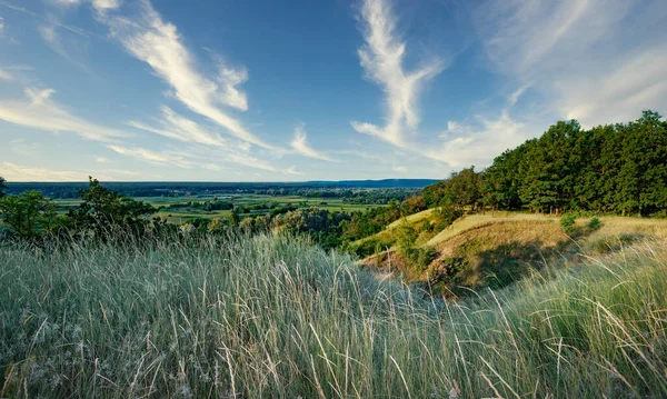 Bellissimo Paesaggio Estivo Impressionante Prati Verdi Vuoti Bosco Vista Panoramica — Foto Stock