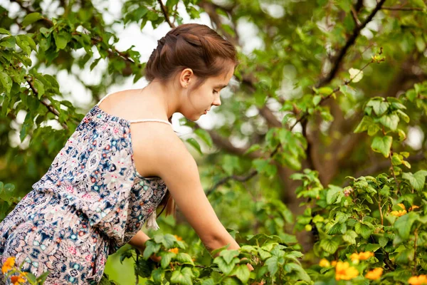 Açık havada yaz elbisesi giyen genç ve çekici çiftçi kızın elinde sulu taze böğürtlenlerle dolu bir kase. Güzel dişi ergen kırsal alandaki çalılıklardan sağlıklı hasat topluyor..