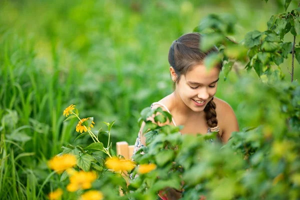 Kahverengi örgülü beyaz kadın gencin seçici odağı çalılık ve çiçeklerin yanındaki ahşap sandalyede oturuyor. Kırsal kesimde hasat toplayan çiftçi kız manzarası.