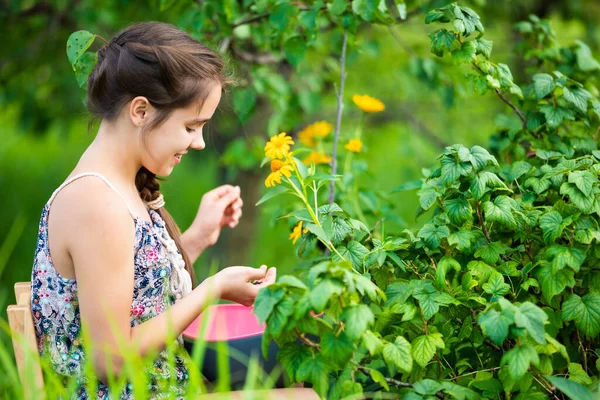 Kahverengi örgülü genç bir kızın ahşap sandalyede oturmuş bahçede hasat toplarken görüntüsü. Gözleri kapalı genç bir kız. Lezzetli meyveler yiyor, kaseyi tutuyor..