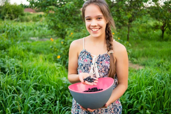 Açık havada, tanınmayan bir kızın elinde, siyah, sulu, taze kuşüzümü manzarası. Pembe kasedeki sağlıklı yiyecekleri yakın plan, kırsal bahçe, lezzetli hasat..