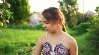 Genç çekici kız bahçede elma topluyor..
