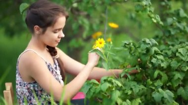 Genç çekici kız bahçede hasat topluyor..