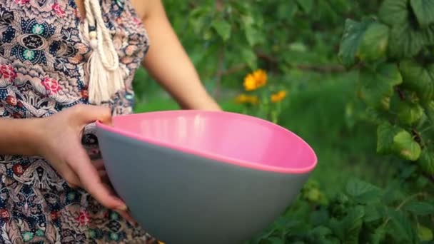 Chica irreconocible sosteniendo tazón con bayas de grosella negra. — Vídeos de Stock