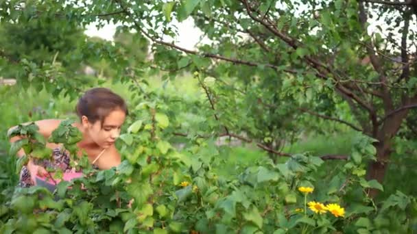 Młoda dziewczyna siedzi na krześle, zbierając jagody w ogrodzie. — Wideo stockowe