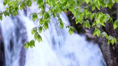 Şelale, kaynak akışı suyu