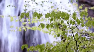 Şelale, kaynak akışı suyu