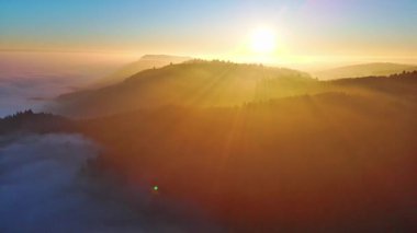Yoğun, vahşi bir dağ ormanındaki kozalaklı ağaçların uzun gölgeleri, berrak bir gökyüzünde, kör edici, parlak bir akşam güneşinin arka planına karşı. Video 4k UHD eş zamanlı