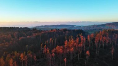 Yoğun karanlık çam ormanlarıyla dağ vadisi, boş çim tarlaları ve akşam güneşinde karla kaplı yüksek dağlara bakan küçük köyler. Video 4k UHD eş zamanlı