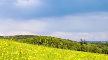 Yeşil yay, uzun çimenler ve sarı parlak karahindiba çiçekleri ile geniş, vahşi çayır mavi güneşli bulutlu bir gökyüzünün altında, tepelik bir Avrupa vadisinde. Video 4k UHD zaman ayarlı