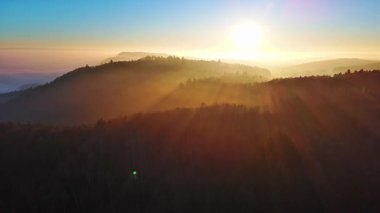 Yoğun, vahşi bir dağ ormanındaki kozalaklı ağaçların uzun gölgeleri, berrak bir gökyüzünde, kör edici, parlak bir akşam güneşinin arka planına karşı. Video 4k UHD eş zamanlı