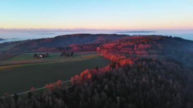 Yoğun koyu ladin ormanlarıyla kaplı yüksek dağ tepeleri ve açık mavi gökyüzüne karşı parlak güneşli akşam ışığında beyaz mistik sis. Video 4k UHD eş zamanlı