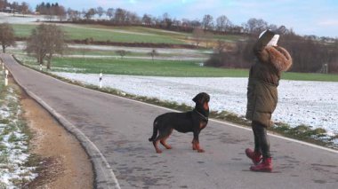 Sıcak giyimli bir kadın, büyük itaatkar Rottweiler köpeği için küçük bir siyah top atar. Mavi bulutlu gökyüzüne karşı karla kaplı tarlaların arasında durur. 4K UHD video gerçek zamanlı