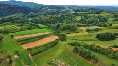 Yeşil bitkiler ve ekinlerle birlikte tarım arazileri üzerinde uçmak, bulutlu bir havada ormanlık ve tepelik bir vadide kır evleri ve ev çiftlikleri. 4K UHD video gerçek zamanlı