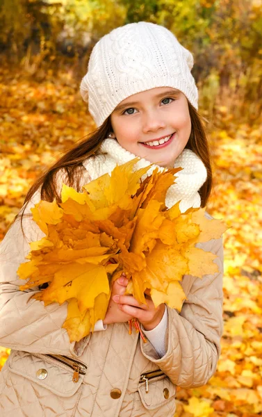 Sonbahar Yaprakları Açık Havada Ile Sevimli Gülümseyen Küçük Kız Çocuğu — Stok fotoğraf