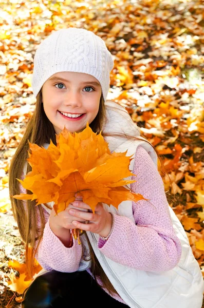 Retrato Otoñal Adorable Niña Sonriente Con Hojas Aire Libre —  Fotos de Stock