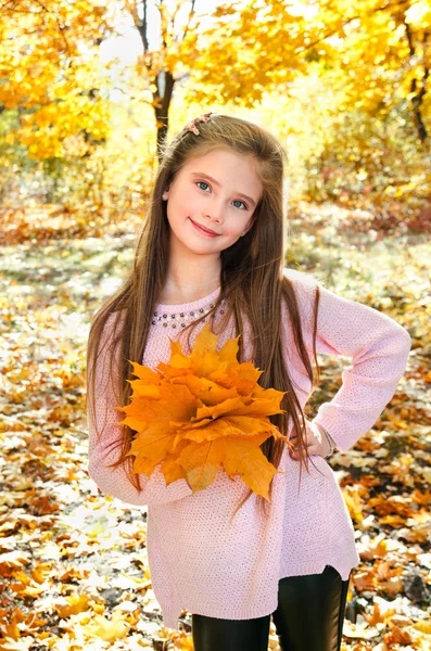 Autunno Ritratto Adorabile Sorridente Bambina Con Foglie All Aperto — Foto Stock