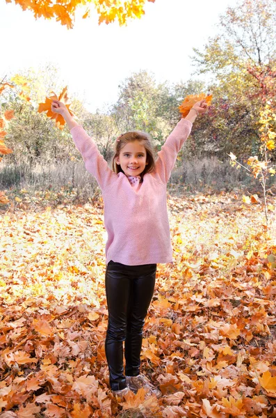 Herbst Porträt Eines Entzückenden Lächelnden Kleinen Mädchens Mit Blättern Freien — Stockfoto