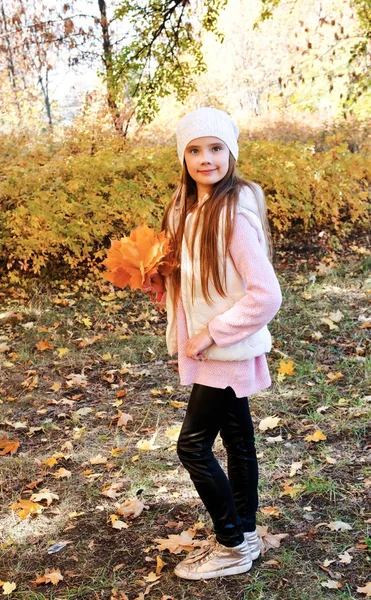 秋天的肖像可爱的微笑的小女孩与leav — 图库照片