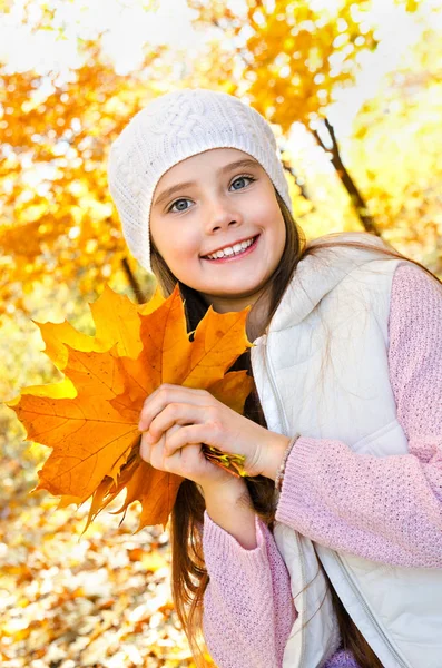 Autumn portrait of adorable smiling  little girl child with leav — Stock Photo, Image