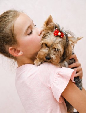 Sevimli gülümseyen mutlu küçük kız çocuk köpek yavrusu York ile oynuyor