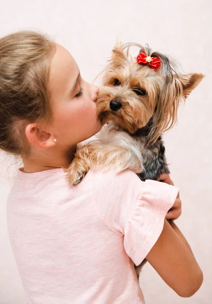 Sevimli gülümseyen mutlu küçük kız çocuk köpek yavrusu York ile oynuyor