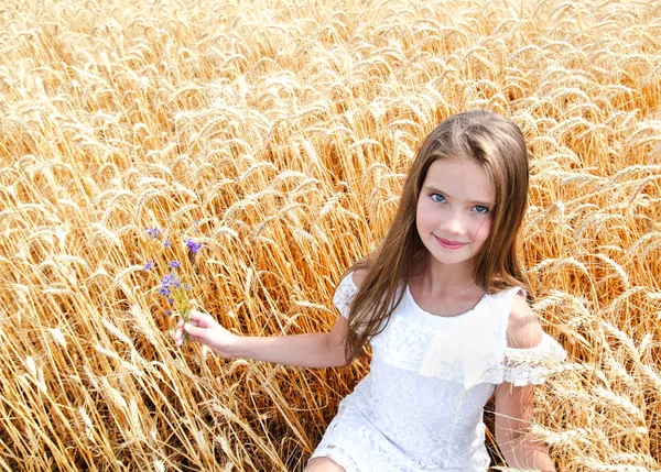 Portrait of smiling cute little girl child on field of wheat hol — Stock Photo, Image