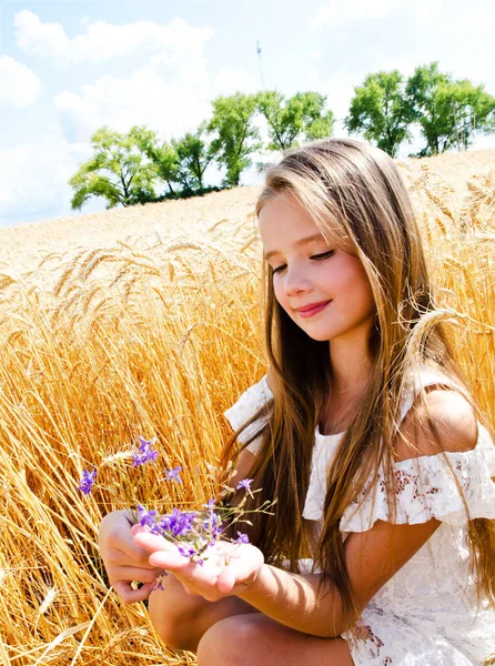 Retrato de niña linda sonriente en el campo de trigo hol —  Fotos de Stock