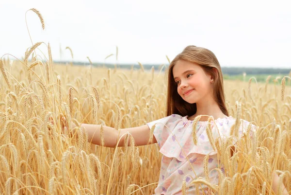 Portrait Smiling Cute Little Girl Child Field Wheat Outdoor — Stock Photo, Image