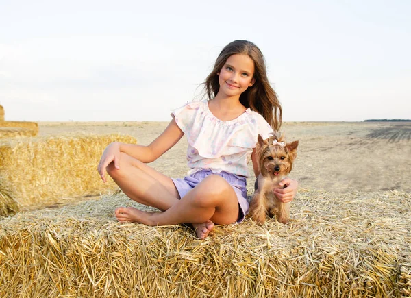 愛らしい笑顔の女の子子供座っています上の干し草ロールでA小さな犬ペットヨークシャーテリアとともに日没時 — ストック写真