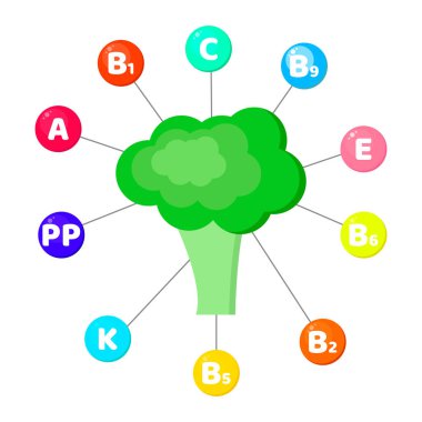 Infographics. sebze içerdiği vitaminler. renkli daireler içinde eser elementler. Brokoli