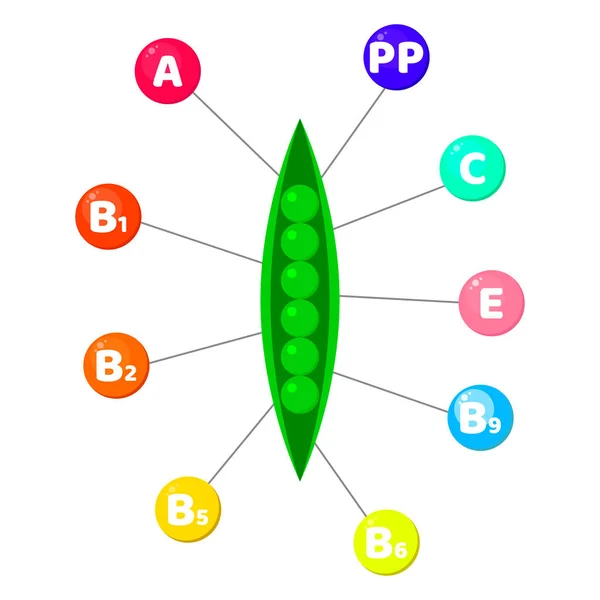 インフォ グラフィック。野菜に含まれるビタミン。色のついた丸の微量元素。エンドウ豆 — ストックベクタ