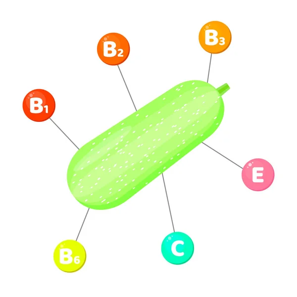 インフォ グラフィック。野菜に含まれるビタミン。色のついた丸の微量元素。スカッシュ — ストックベクタ