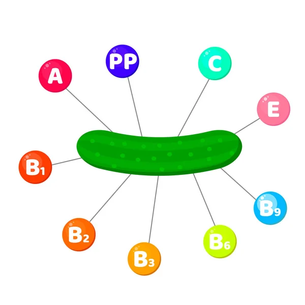 Infografías. vitaminas contenidas en las verduras. oligoelementos en círculos de colores. Pepino . — Archivo Imágenes Vectoriales