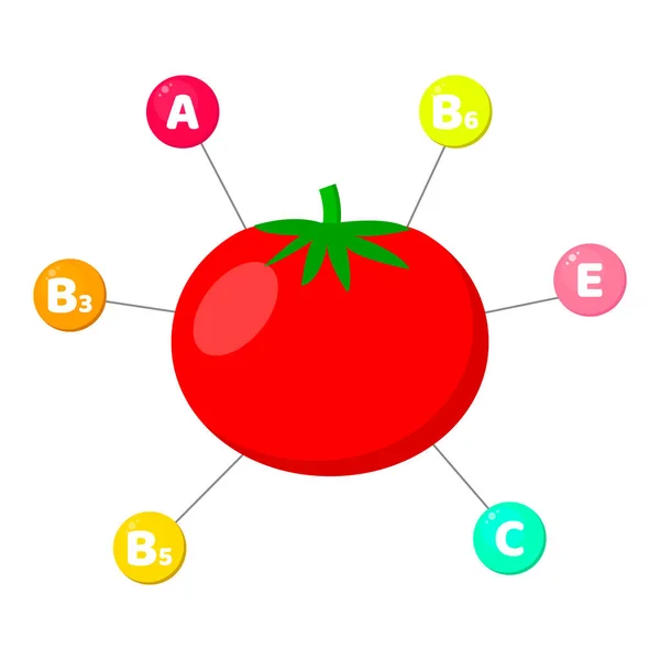 Infografías. vitaminas contenidas en las verduras. oligoelementos en círculos de colores. Tomate . — Archivo Imágenes Vectoriales