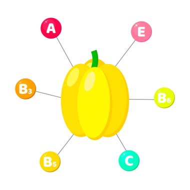 Infographics. sebze içerdiği vitaminler. renkli daireler içinde eser elementler. Sarı kırmızı biber