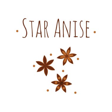 resimde. Baharat. Yıldız anason. Badian.