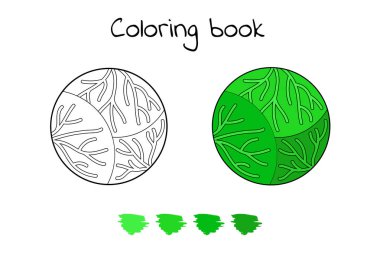 resimde. Çocuklar için oyun. Sebze. Boyama sayfası lahana kafa