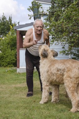 Yaşlı bir adam büyük bir köpek tehdit evin yanında bir çimenlikte