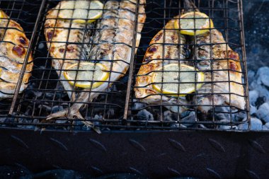 Kavrulmuş balık uskumru pişmiş ızgara, üstten görünüm, yakın çekim.