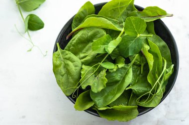 Beyaz bir arka plan üzerinde siyah bir kase taze ıspanak. Üstten görünüm.