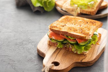 Sandviç ile beyaz ekmek tost, kırmızı balık taze yeşil salata yaprakları ve salatalık bir ahşap tahta üzerine dilimlenmiş somon.