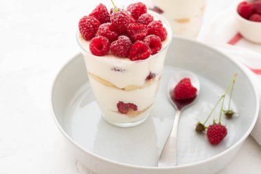 Tiramisu ahududu gri arka plan üzerine gözlük ile. İtalyan tatlı. Kopya alanı.