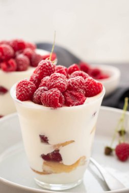 Tiramisu ahududu gri arka plan üzerine gözlük ile. İtalyan tatlı. Kopya alanı.