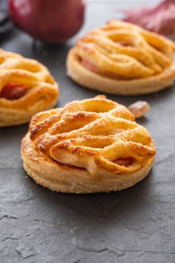 Ev yapımı elma pasta veya sonbahar arka plan üzerinde tart. Sonbahar kavramı. Kopya alanı.