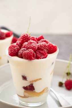 Tiramisu ahududu gri arka plan üzerine gözlük ile. İtalyan tatlı. Kopya alanı.