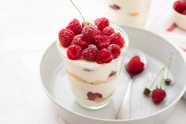 Tiramisu ahududu gri arka plan üzerine gözlük ile. İtalyan tatlı. Kopya alanı.